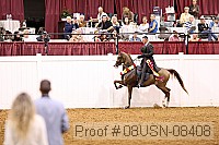 08usn-08408 proof