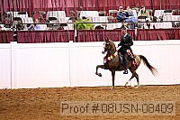 08usn-08409 proof