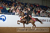 08usn-08410 proof