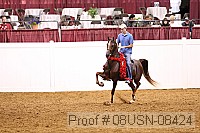 08usn-08424 proof