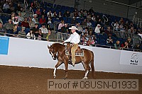 08usn-01933 proof