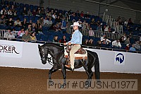 08usn-01977 proof