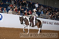 08usn-02013 proof