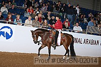 08usn-02014 proof