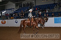 08usn-09733 proof