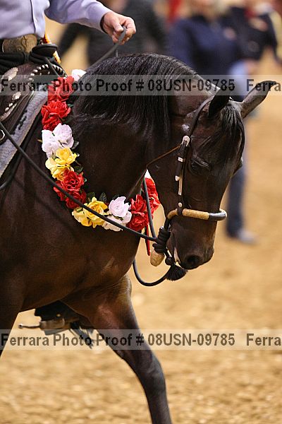 Proof 08usn-09785