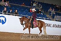 08usn-09822 proof