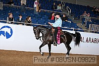 08usn-09829 proof