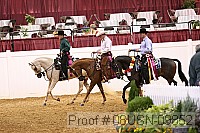 08usn-09852 proof