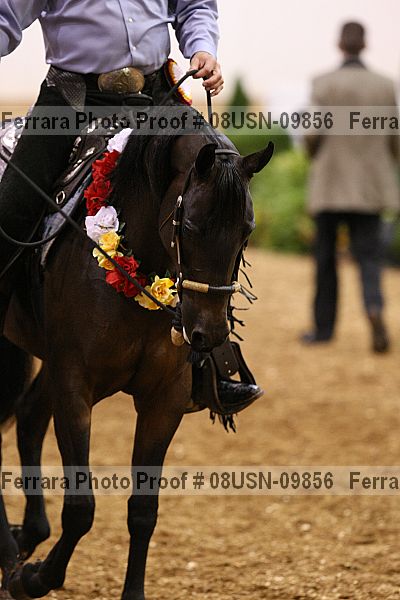 Proof 08usn-09856