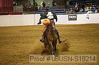 08usn-s18214 proof