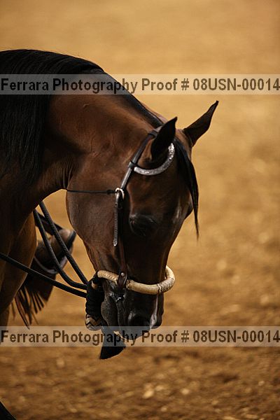 Proof 08usn-00014