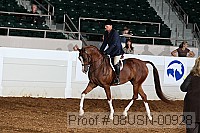 08usn-00928 proof