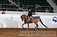 08usn-00955 proof