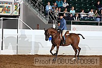 08usn-00961 proof
