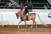 08usn-02423 proof