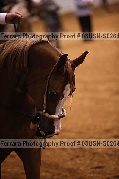 Proof 08usn-s02643