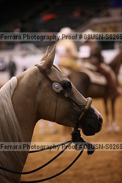 Proof 08usn-s02658