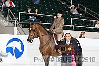 08usn-02510 proof