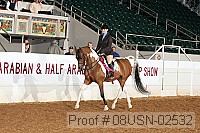 08usn-02532 proof