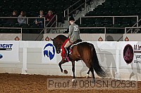 08usn-02536 proof