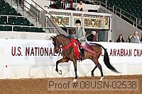 08usn-02538 proof