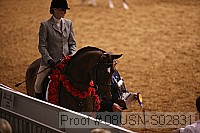 08usn-s02831 proof