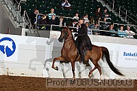 08usn-00903 proof