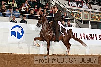 08usn-00907 proof