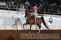 08usn-00916 proof