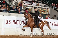 08usn-00924 proof