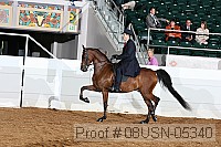 08usn-05340 proof