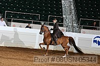 08usn-05344 proof