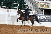 08usn-05351 proof