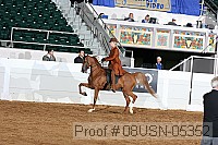 08usn-05352 proof