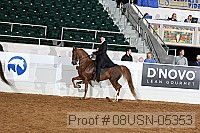 08usn-05353 proof