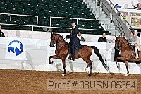 08usn-05354 proof