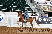 08usn-05355 proof
