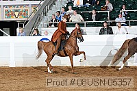 08usn-05357 proof