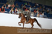 08usn-05739 proof