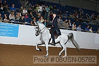 08usn-05782 proof