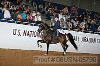 08usn-05790 proof