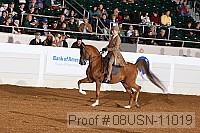08usn-11019 proof