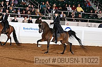 08usn-11022 proof