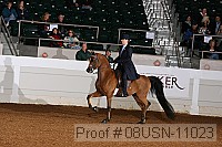 08usn-11023 proof