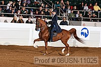 08usn-11025 proof