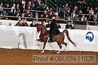 08usn-11028 proof