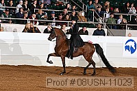 08usn-11029 proof