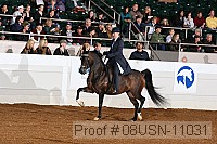 08usn-11031 proof