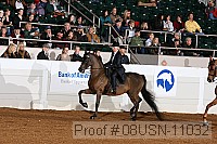 08usn-11032 proof